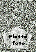 Flotte
foto